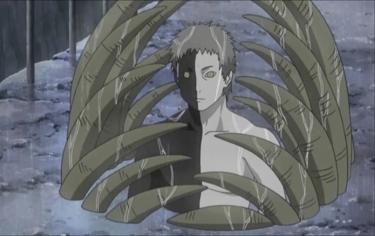 Zetsu 2